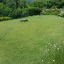 고령문고 이미지