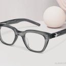 가우스안경 이미지