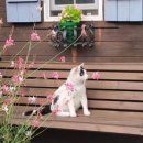 감정코칭심리상담사(2급) 이미지