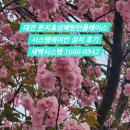 세븐일레븐 대전문지효성점 | 대전 문지효성해링턴플레이스시스템에어컨 설치 후기입니다.