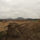 표선면-6 이미지