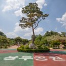 용두공원로 이미지