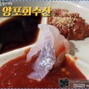 양포횟집 - 북구 성북로5길 6-1 | 양포횟집