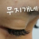 속눈썹J 이미지