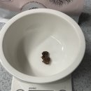 (주)아카바코퍼레이션 이미지