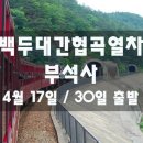 [마감] 백두대간협곡열차(V train) 철암역에서 분천역까지 싱그런 연둣빛 힐링~♬ + 영주 부석사 이미지