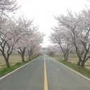 대천서부수협주유소 이미지