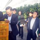 상행농장 이미지