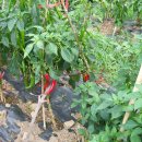 농은농장 이미지