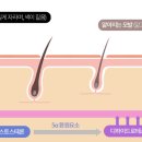 늘푸른의원 이미지