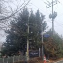 원창고개길 이미지