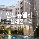 호텔 레몬트리 | 인도 뉴델리 호텔 4성급 레몬 트리 프리미어 델리 에어포트