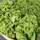 훈민농장 이미지