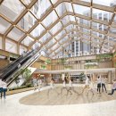 숲속의 아침 이미지