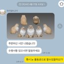 루세떼 반려동물피규어 마리엘피규어 펫로스 대비