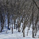 [명산100+] 발왕산 상고대 이미지