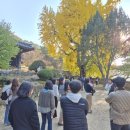 밀양교육지원청 이미지