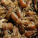 샤인민박 이미지