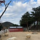 해정농장 | 설악산 속초 숙소 추천하는 켄싱턴리조트 설악밸리 동물농장 조식