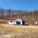 양사면사무소 이미지