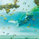 풀빌라M-C 이미지