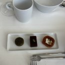 설개로 | 만족스러웠던 수서 메종디탈리 식사 메뉴