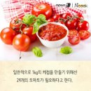 케찹