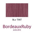 쿠치헤어 이미지