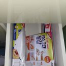 앤드퍼피 | 양평애견펜션 앤드퍼피 불멍하며 힐링 댕댕이와 행복한여행