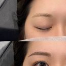 스튜디오커넥터&더그리다뷰티