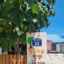 나들민박 이미지