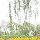 궁남지 전기자전거 대여소 이미지