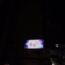 푸른꽃밤의정원 네이버블로그