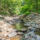 김천맑은계곡 오토캠핑장 이미지