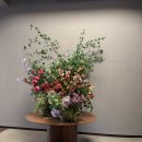 플러스존1 | 부산 명지 가족사진 아이사진 깔끔한 오니리코 스튜디오