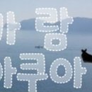 가람온라인스토어 네이버블로그