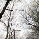 경기도청 이미지