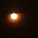 제주집2013