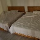 제주 안덕농업협동조합사계지점 이미지