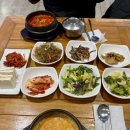 신토두부
