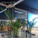라인점핑 - 양산시 양주로 38 | 라인점핑