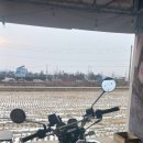 윌리독(wheeliedog) 네이버블로그