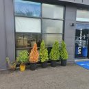 덕하우스 이미지