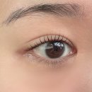 멍묭실 | 너무 짧은 가을 즐기기