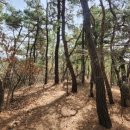 승삼마을 이미지