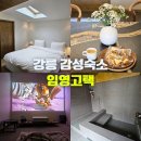 스테이비욘드 | 강원도 강릉 한옥 펜션 추천 자쿠지 독채 감성 숙소 임영고택 4인 스테이 후기