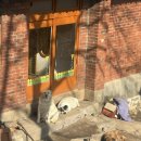 장수-1 | 남한산성 장수의 길 1코스 둘레길 후기