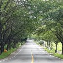 유곡면 농촌체험랜드 이미지