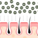 더예쁨의원 이미지