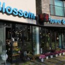 운정블라썸꽃집 이미지